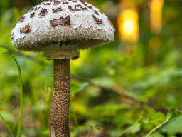 Fotowalk Pfarrwerfen - Bahnhof Werfen
